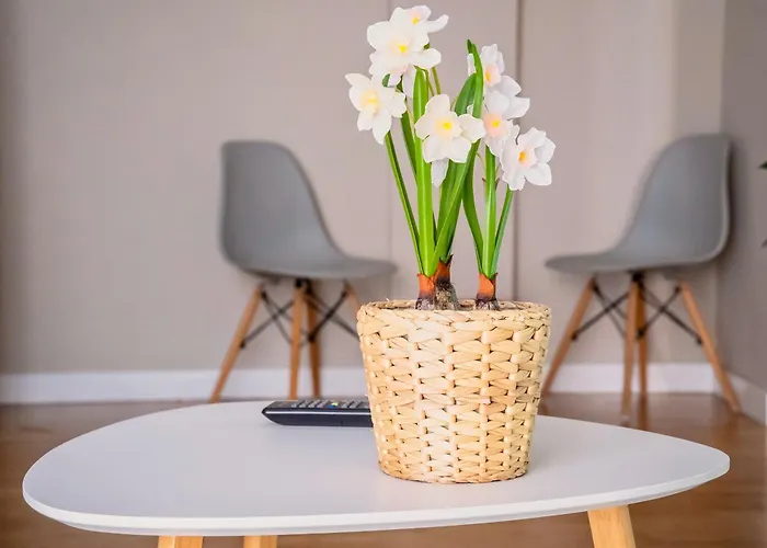 Santiago Tower Aire Ac Casco Antiguo By Apartamentos Logrono